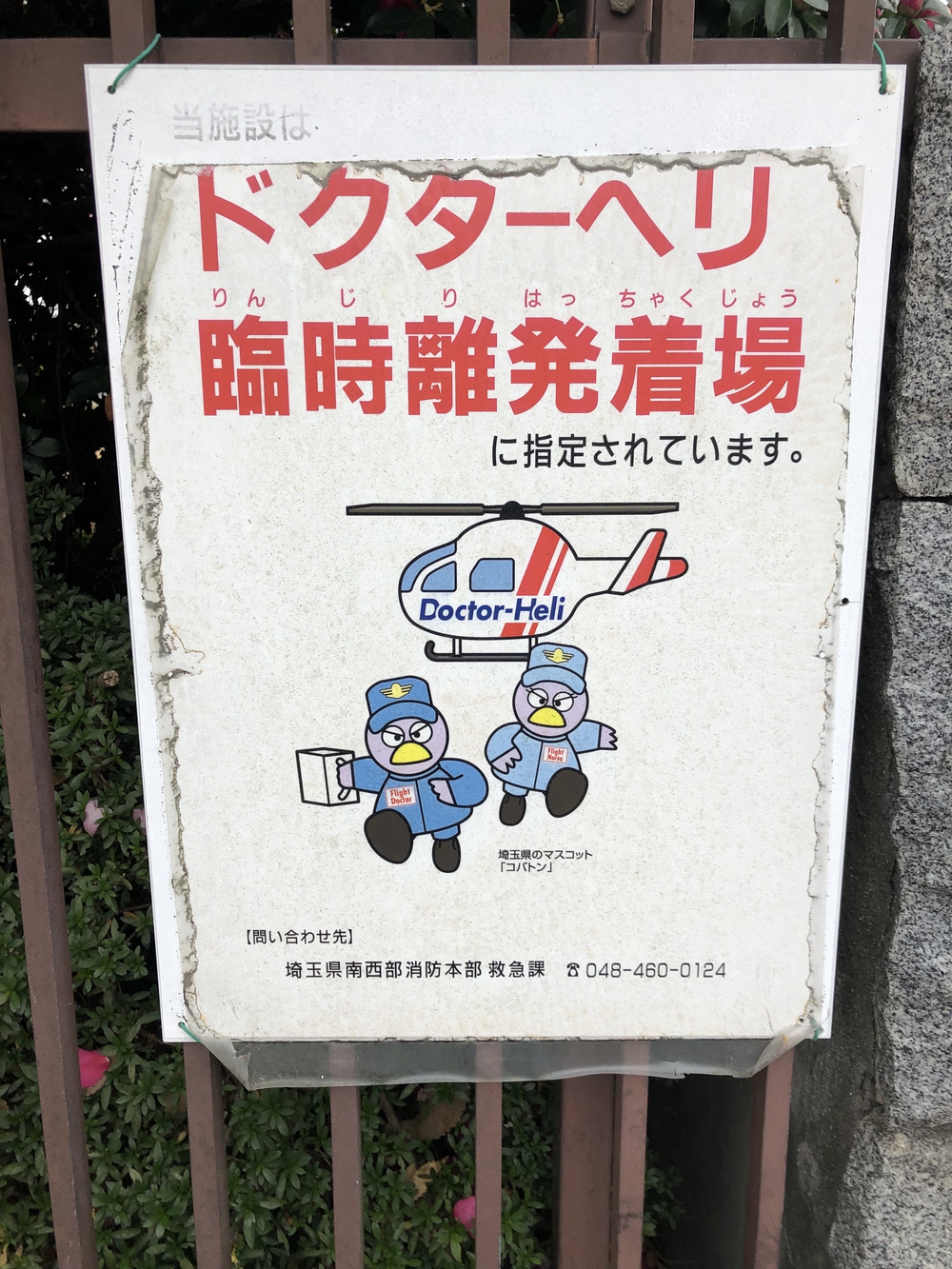 【新座ラン】新座緑道から和光樹林公園への写真13