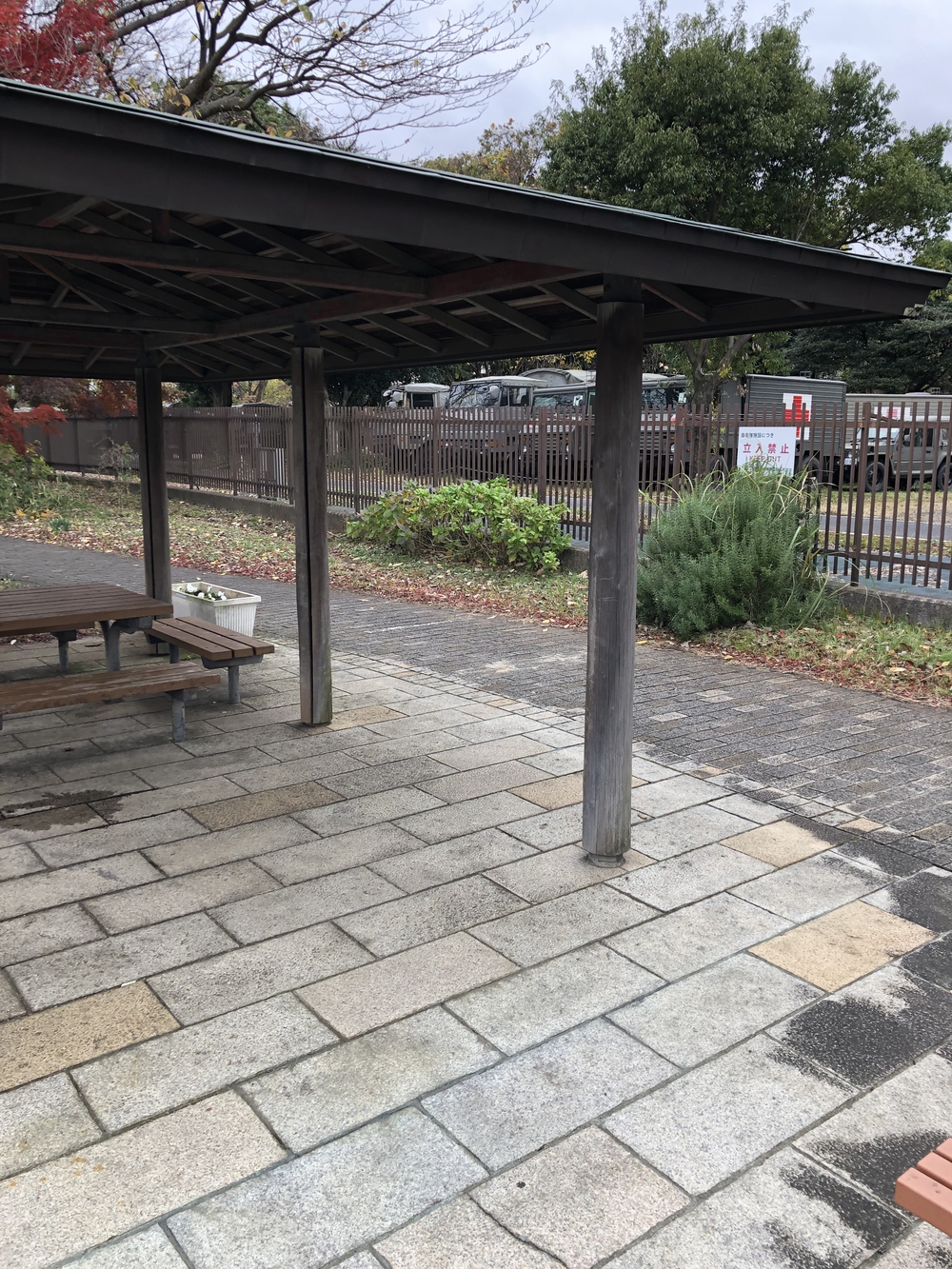 【新座ラン】新座緑道から和光樹林公園への写真14