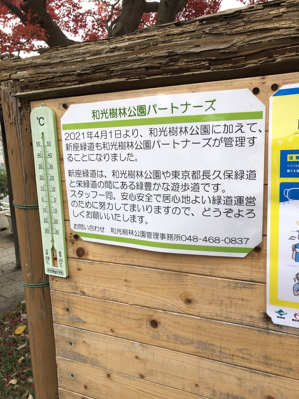 【新座ラン】新座緑道から和光樹林公園への写真15