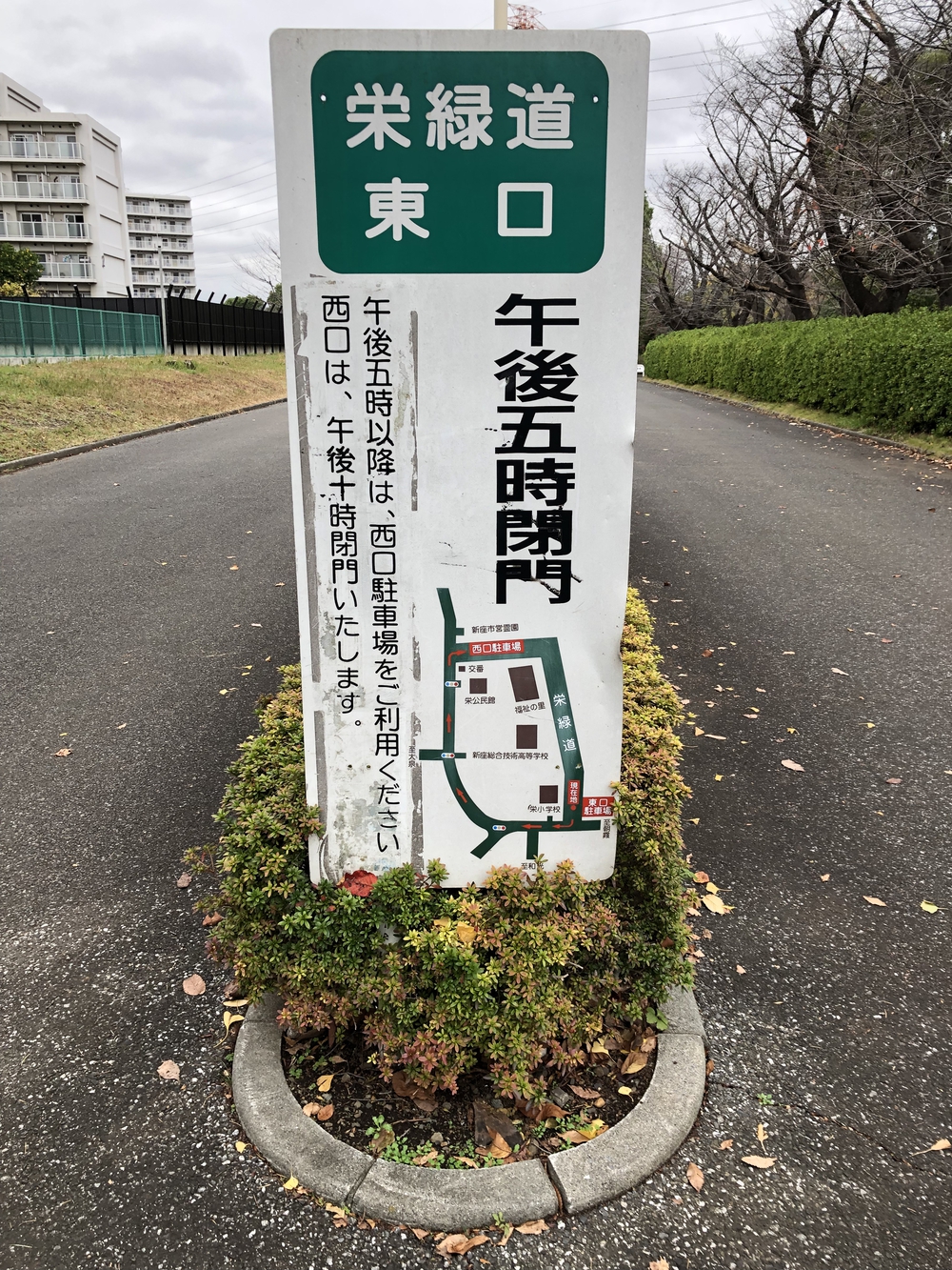 【新座ラン】新座緑道から和光樹林公園への写真16