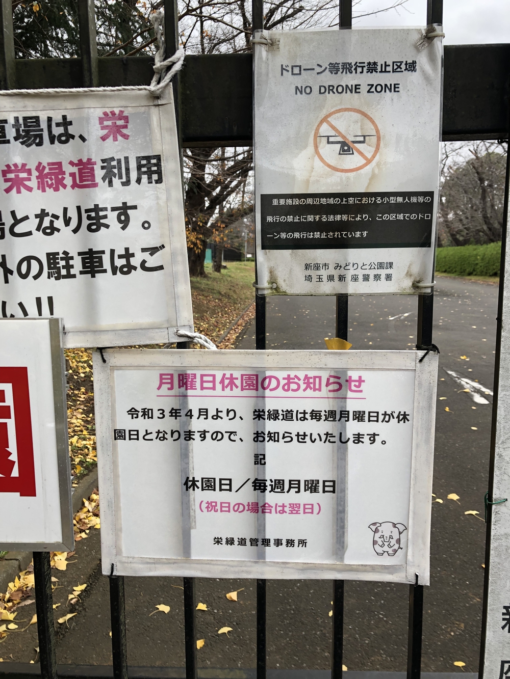 【新座ラン】新座緑道から和光樹林公園への写真17