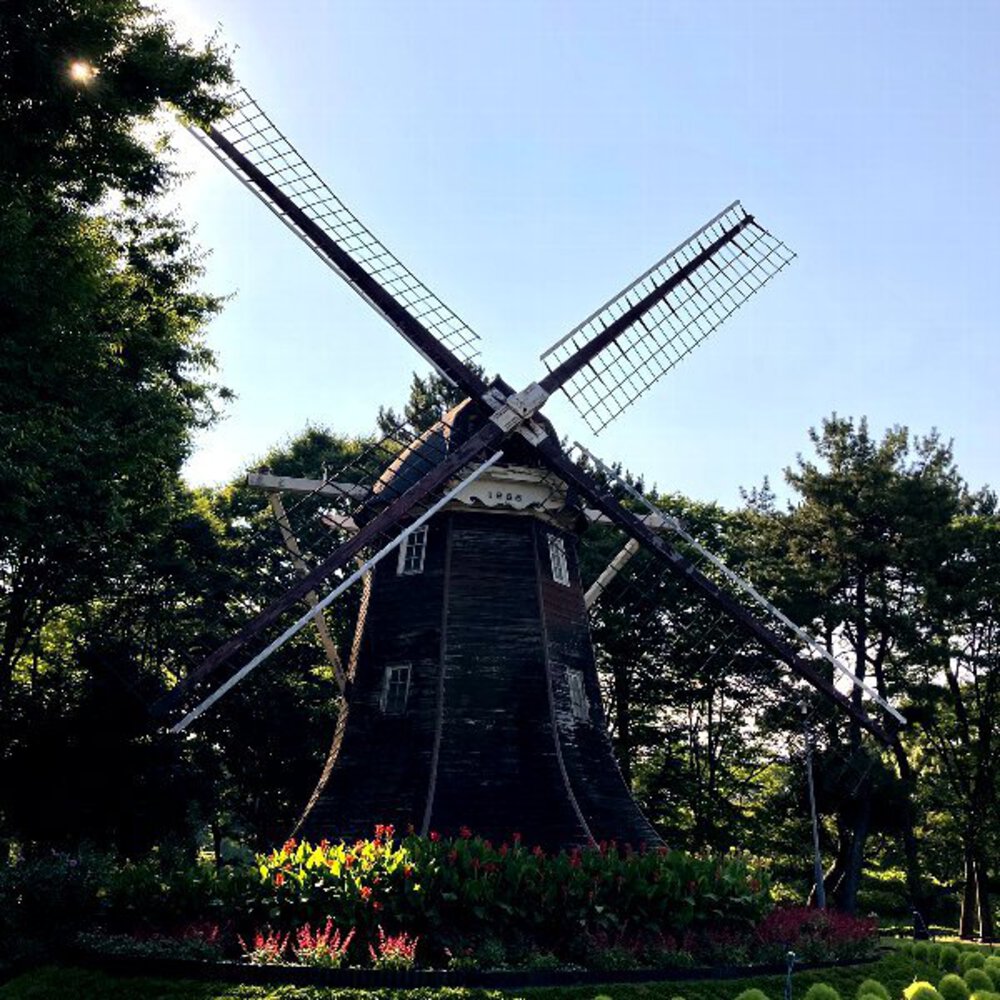 写真映えラントリップ＠NAGOYAの写真18