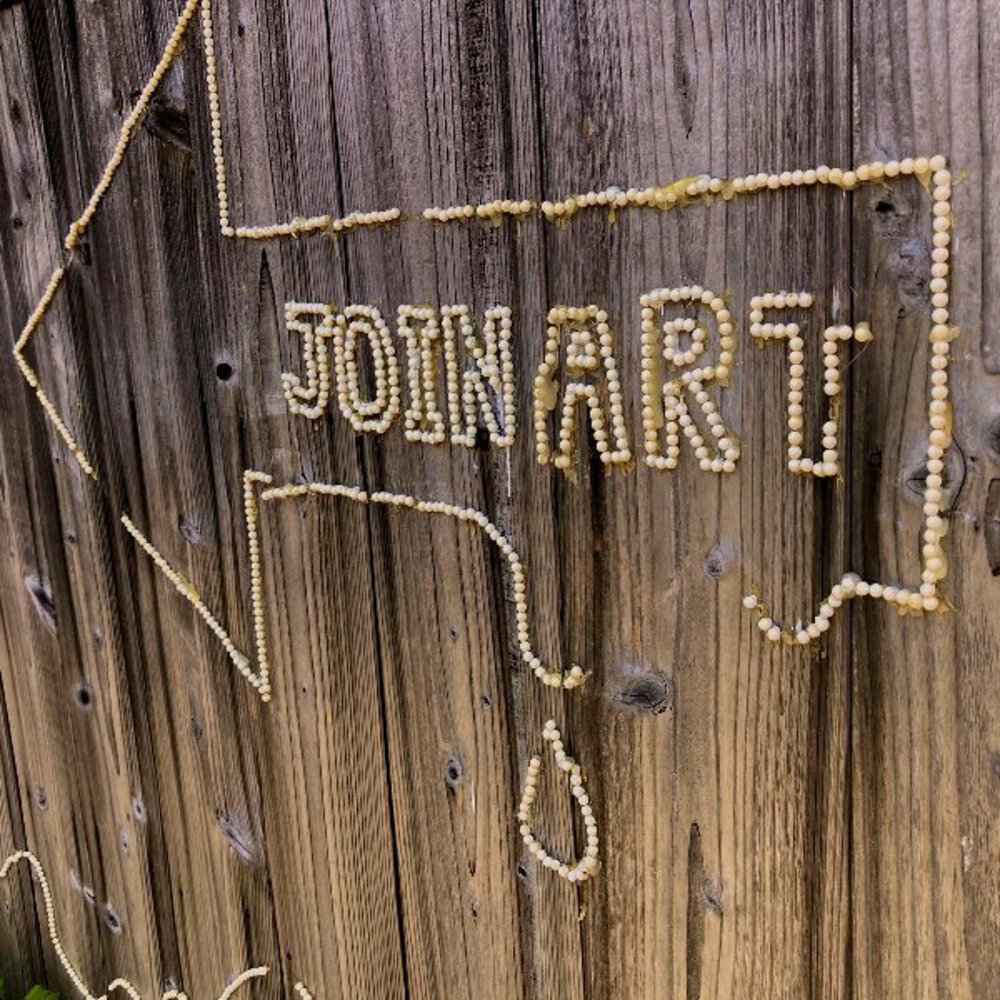 瀬戸内のアートな島『直島』を漫遊の写真15