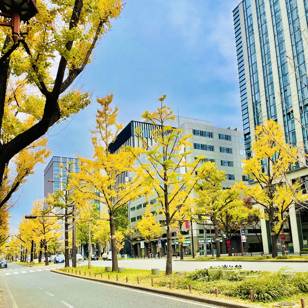難波から大阪市役所まで商店街と御堂筋を走るの写真9