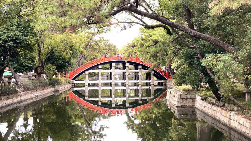 大阪の低山縦走ラントリップ♪の写真25