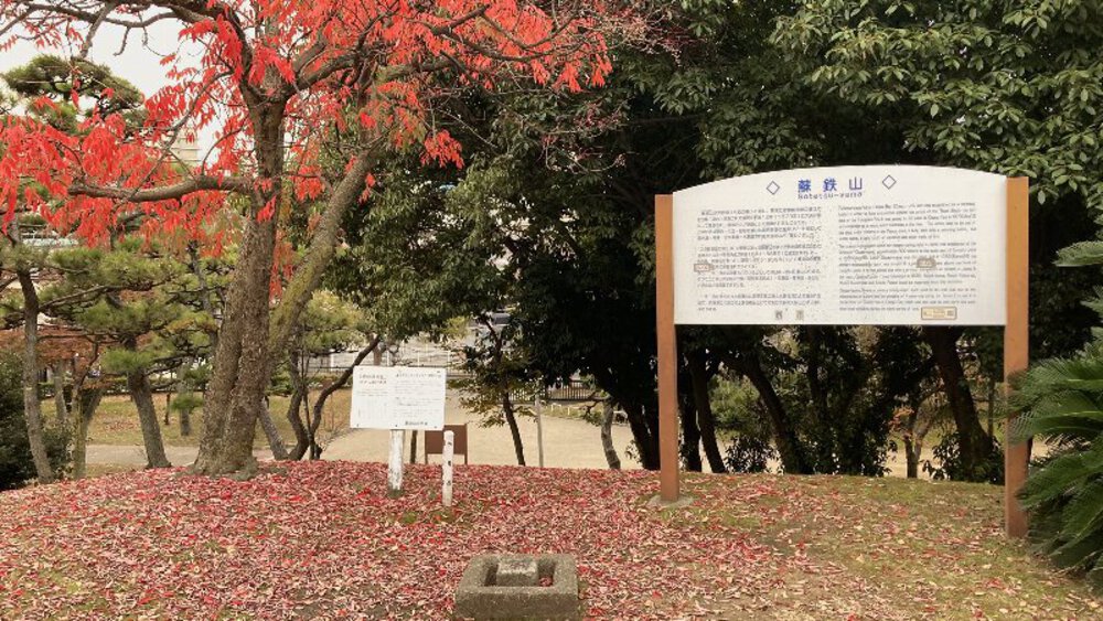 大阪の低山縦走ラントリップ♪の写真28