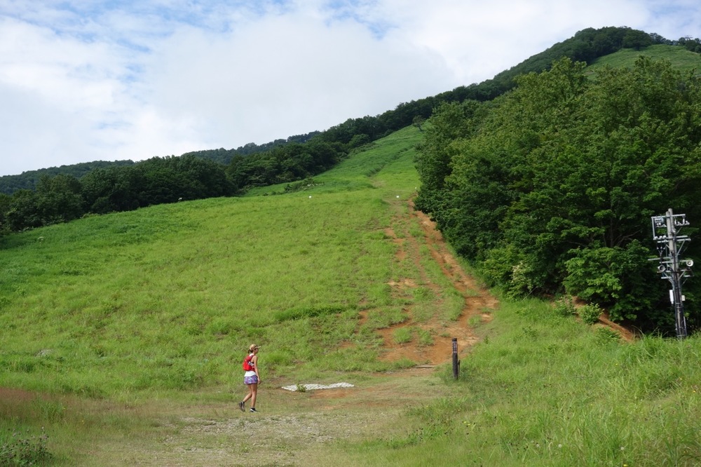 夏限定！斑尾高原ビュンビュン滑走コースの写真3