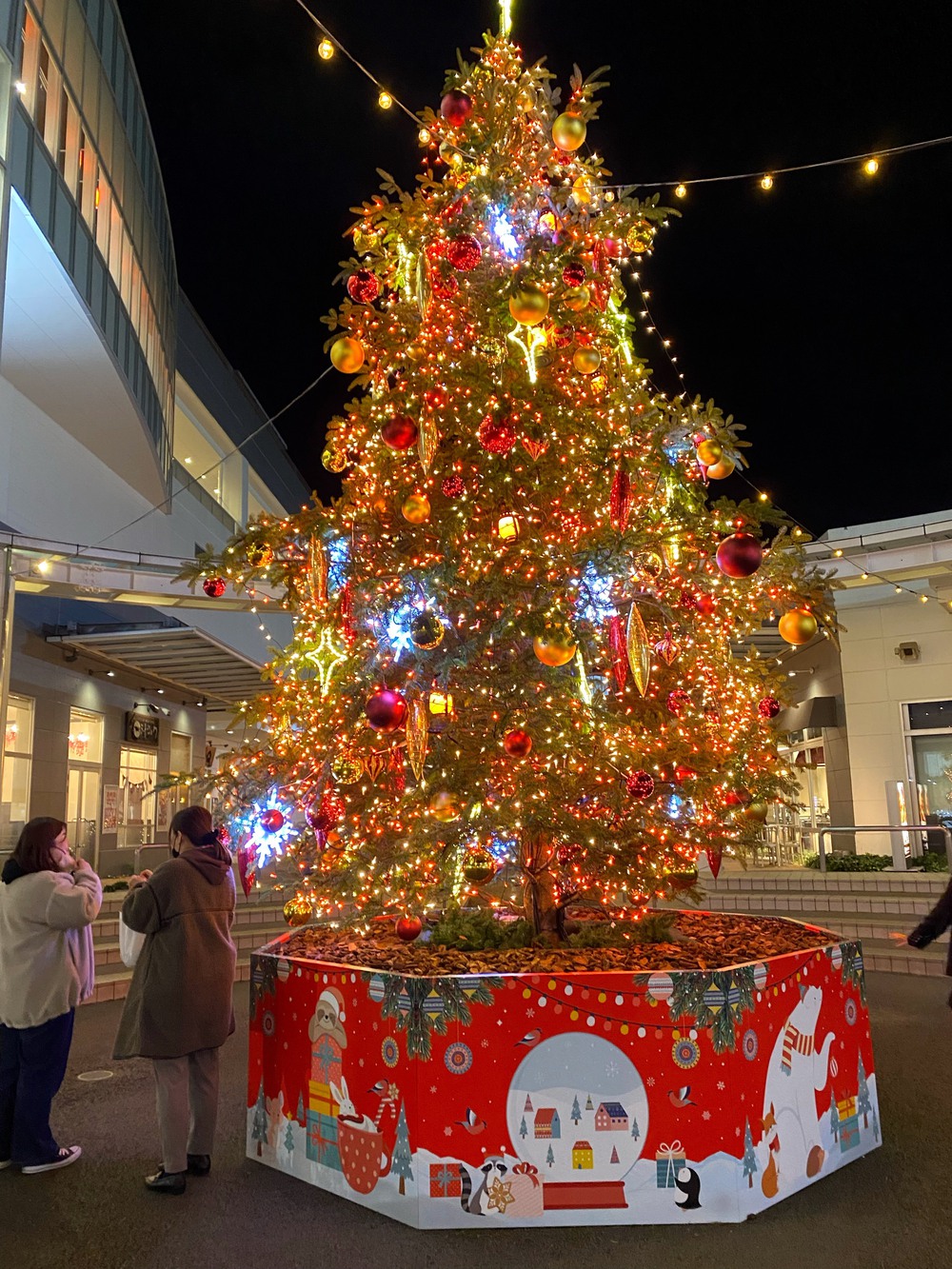 【季節限定】イルミネーションランinつくばの写真4