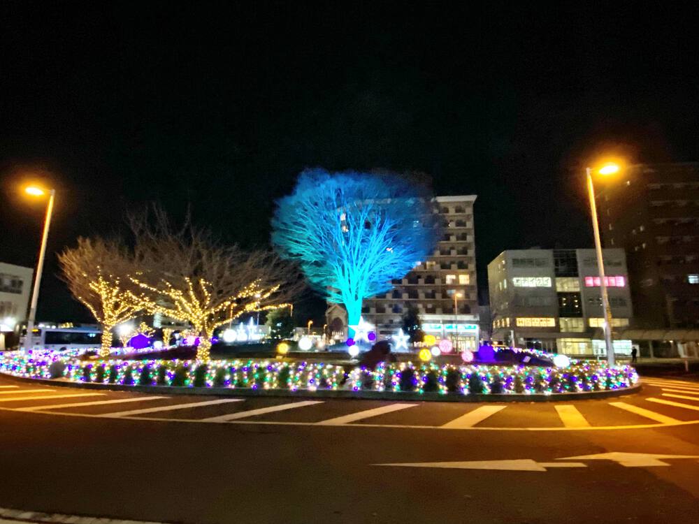 【季節限定】イルミネーションランinつくばの写真5