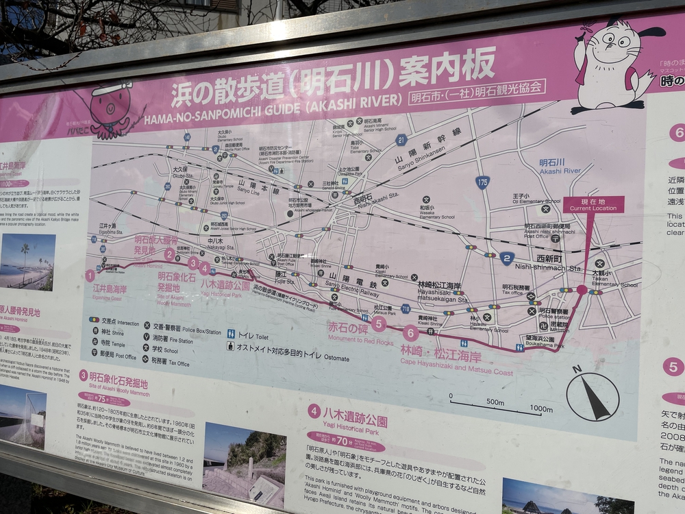 港町明石満喫ランの写真6