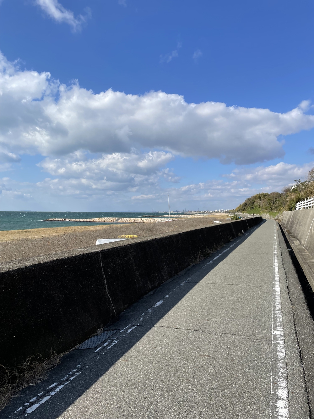 港町明石満喫ランの写真8