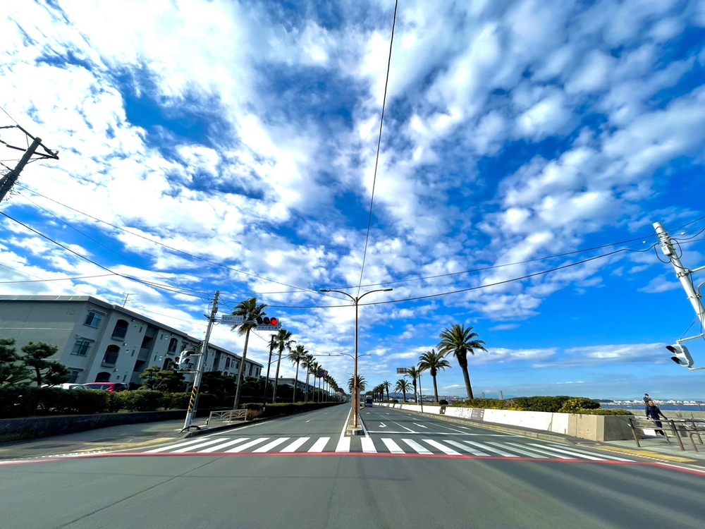 三崎口→横須賀→横浜 60kロング練習の写真3