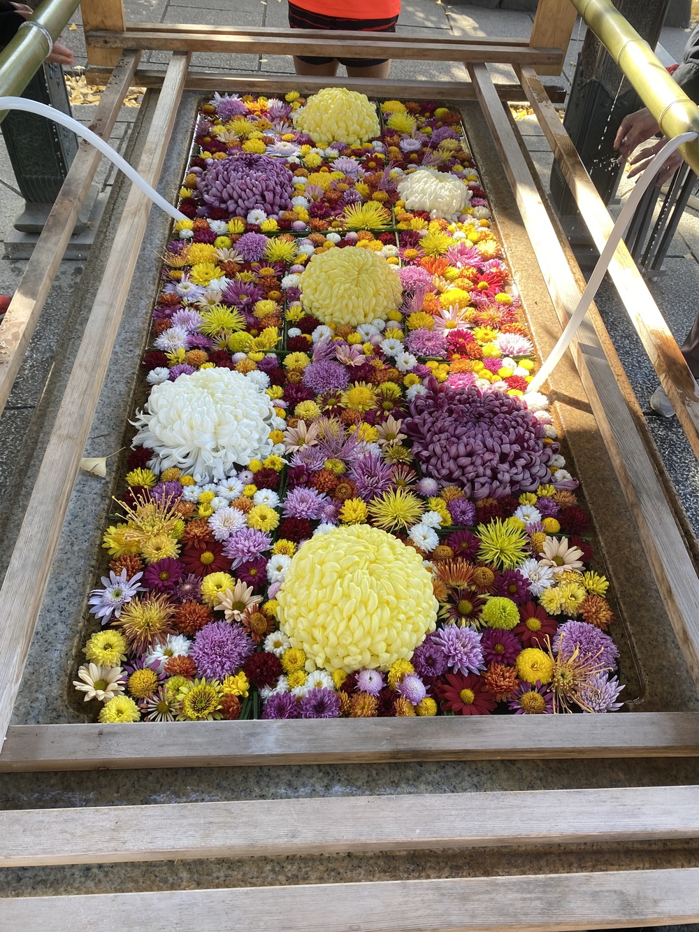 地図に無い湖とマロンスィーツ！笠間の魅力を味わい尽くすランの写真3