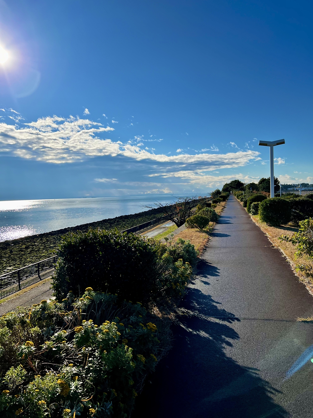 東京ゲートブリッジ周辺 〜 東京湾展望ランの写真6