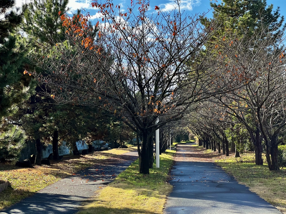 東京ゲートブリッジ周辺 〜 東京湾展望ランの写真7