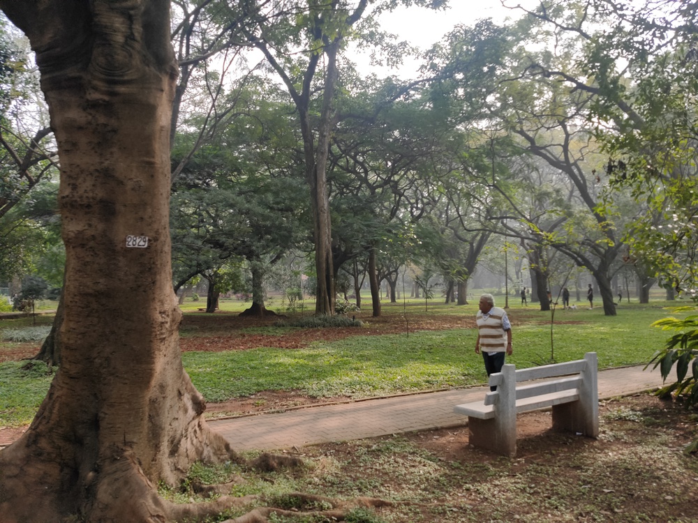 バンガロール、Cubbon Park(カボン  パーク)ランの写真4
