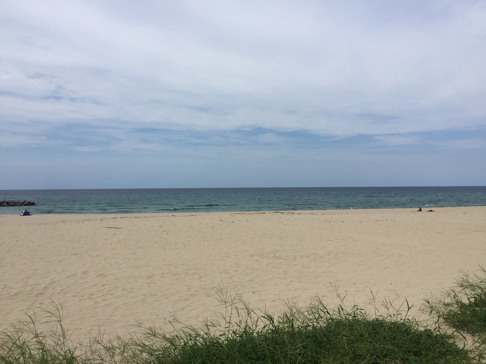 超夏！石見海浜公園ビーチラン！！の写真4