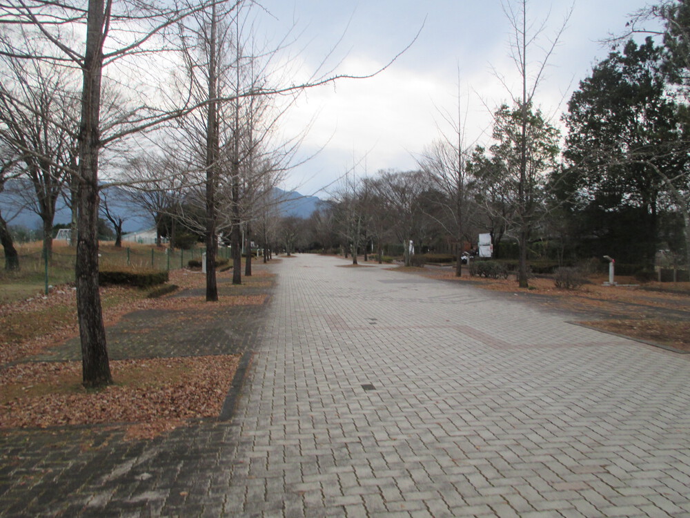 秩父ミューズパーク南口～北口往復コースの写真5