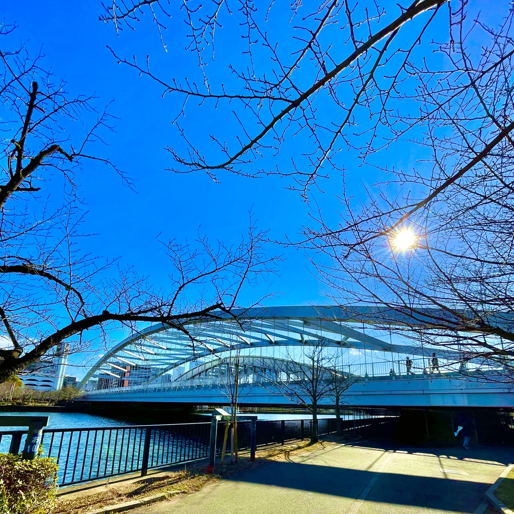 商都・水都大阪を楽しむの写真10