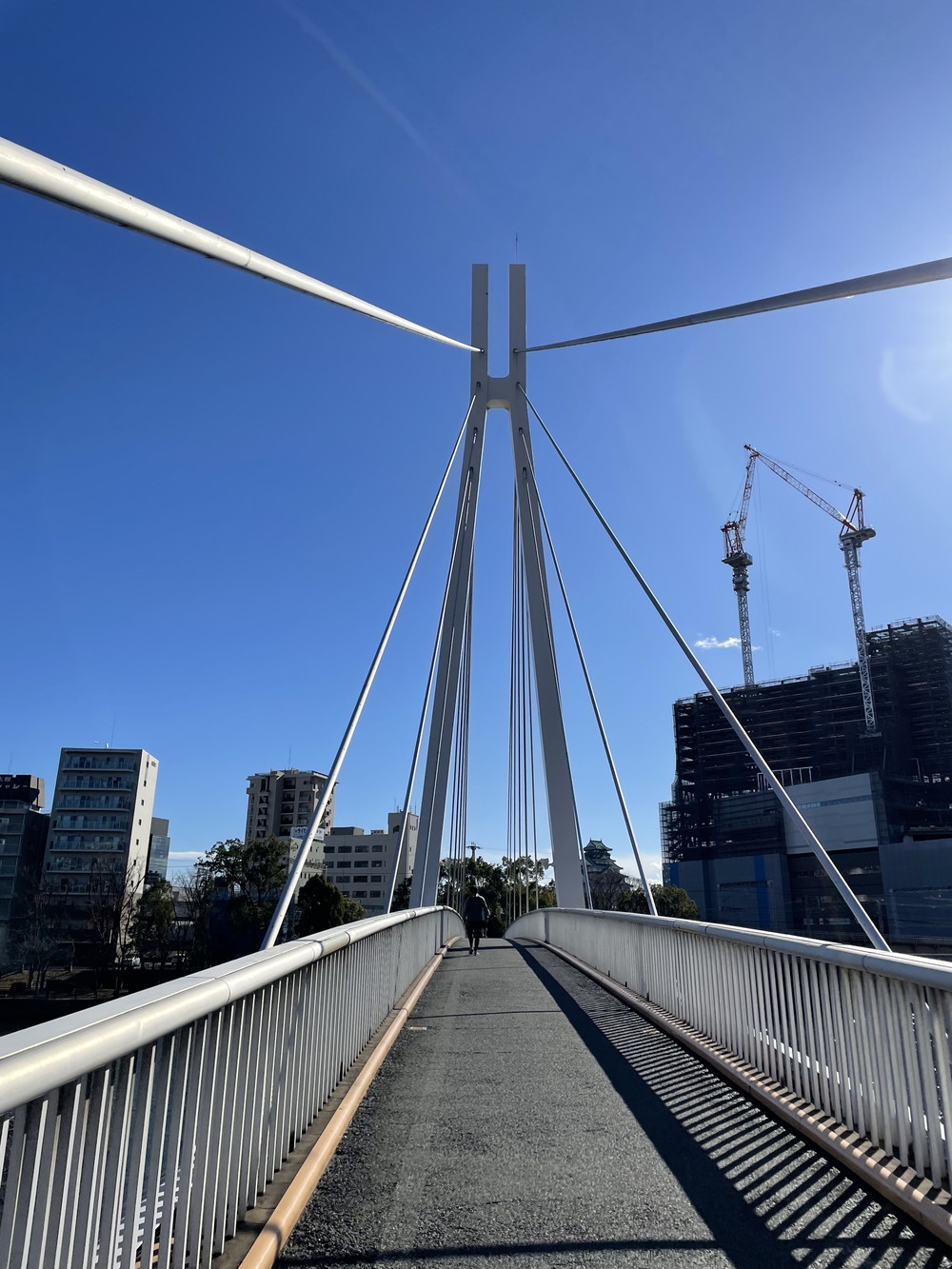 商都・水都大阪を楽しむの写真11