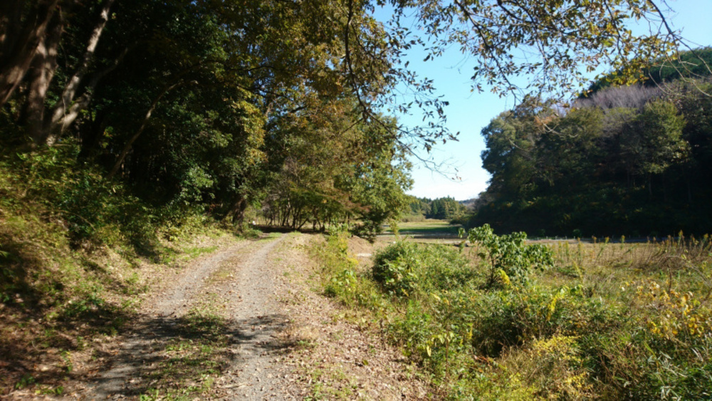 水戸市森林公園成沢トレイルコースの写真3