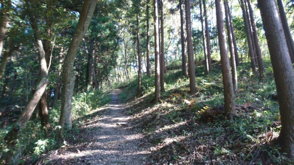 水戸市森林公園成沢トレイルコースの写真4