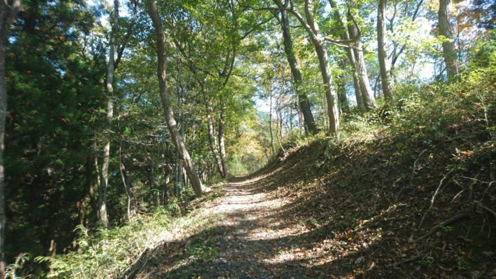 水戸市森林公園成沢トレイルコースの写真5
