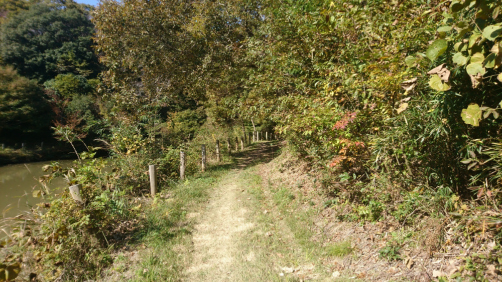 水戸市森林公園成沢トレイルコースの写真8