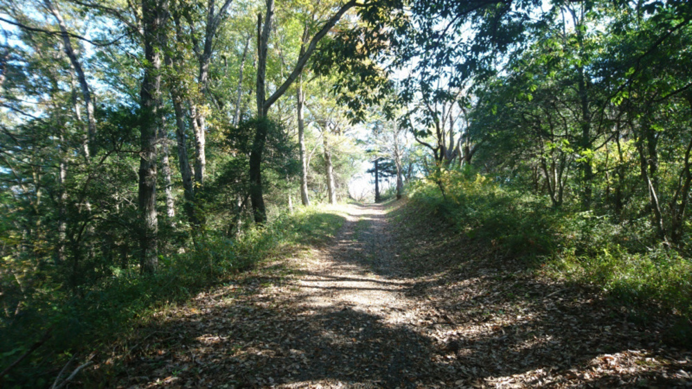 水戸市森林公園成沢トレイルコースの写真9