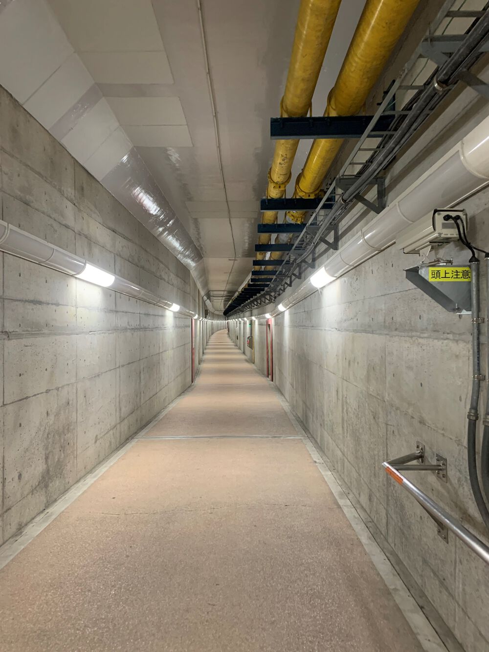 新潟島＋新潟みなとトンネル周回の写真6