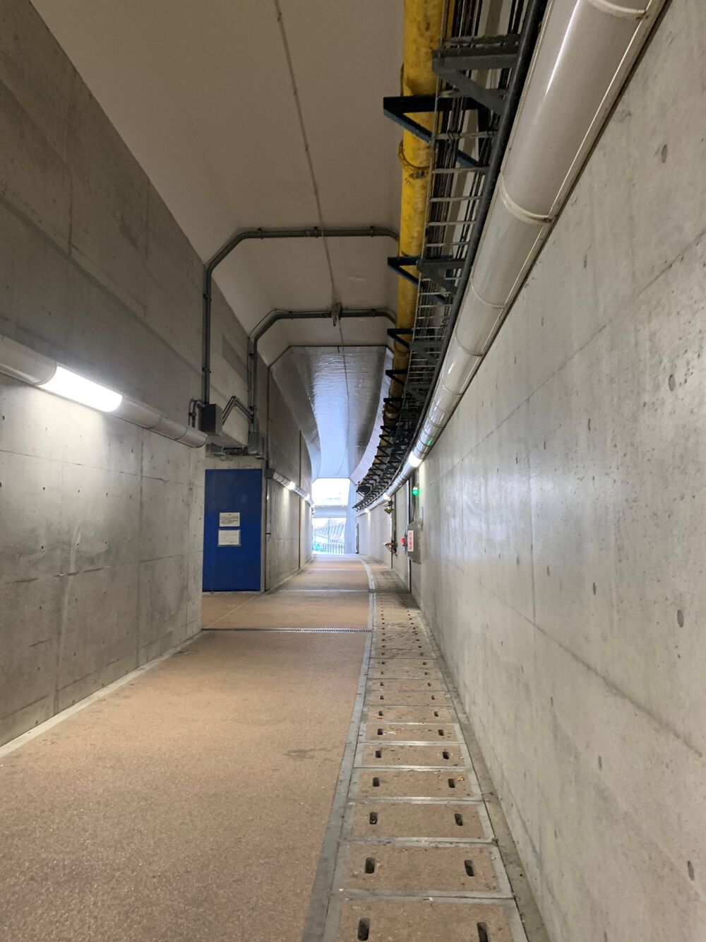 新潟島＋新潟みなとトンネル周回の写真7