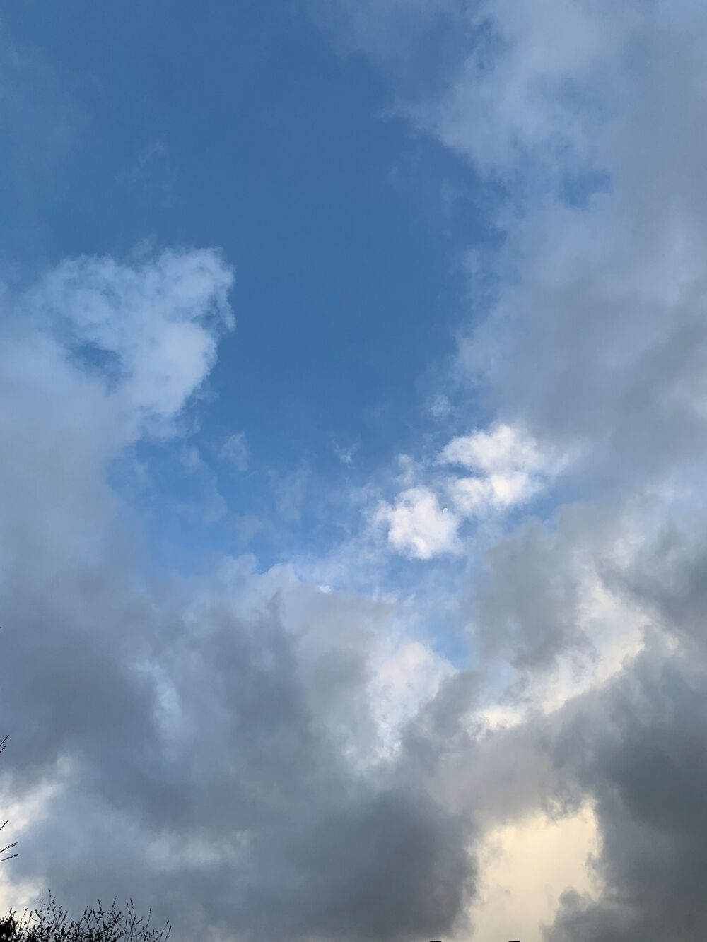 新潟島＋新潟みなとトンネル周回の写真8