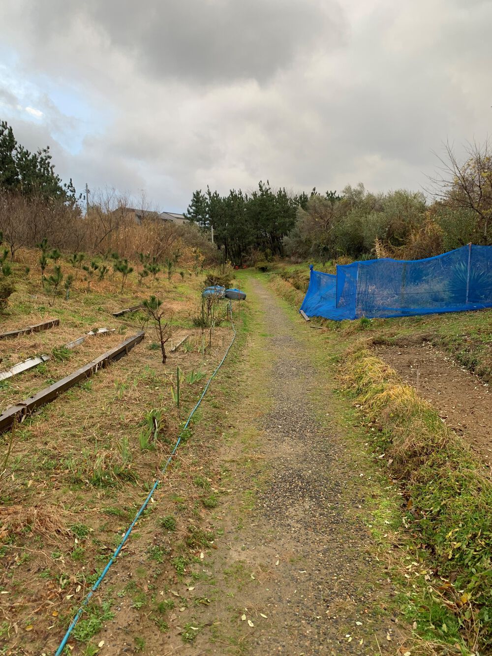 新潟島＋新潟みなとトンネル周回の写真9