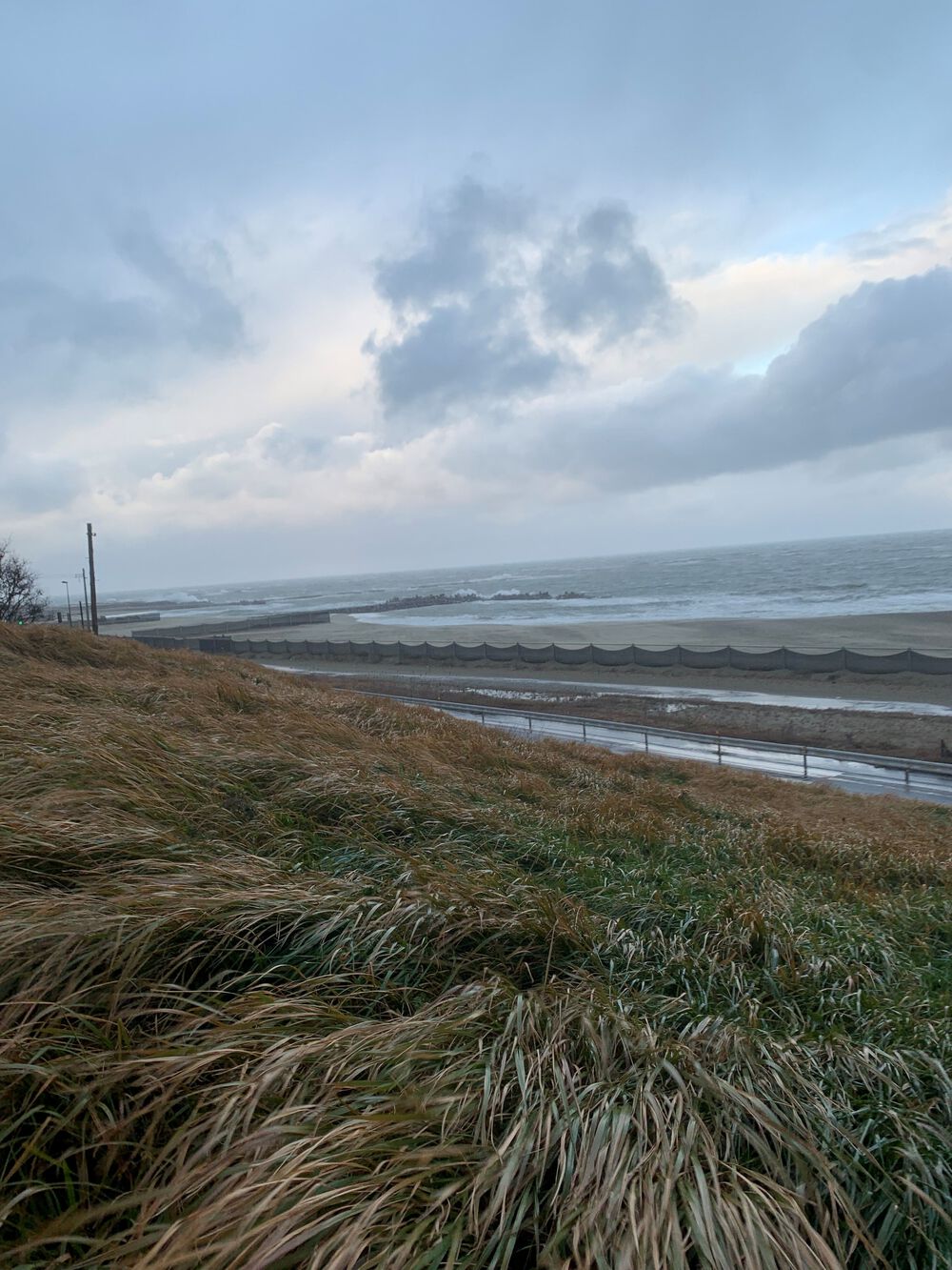 新潟島＋新潟みなとトンネル周回の写真11