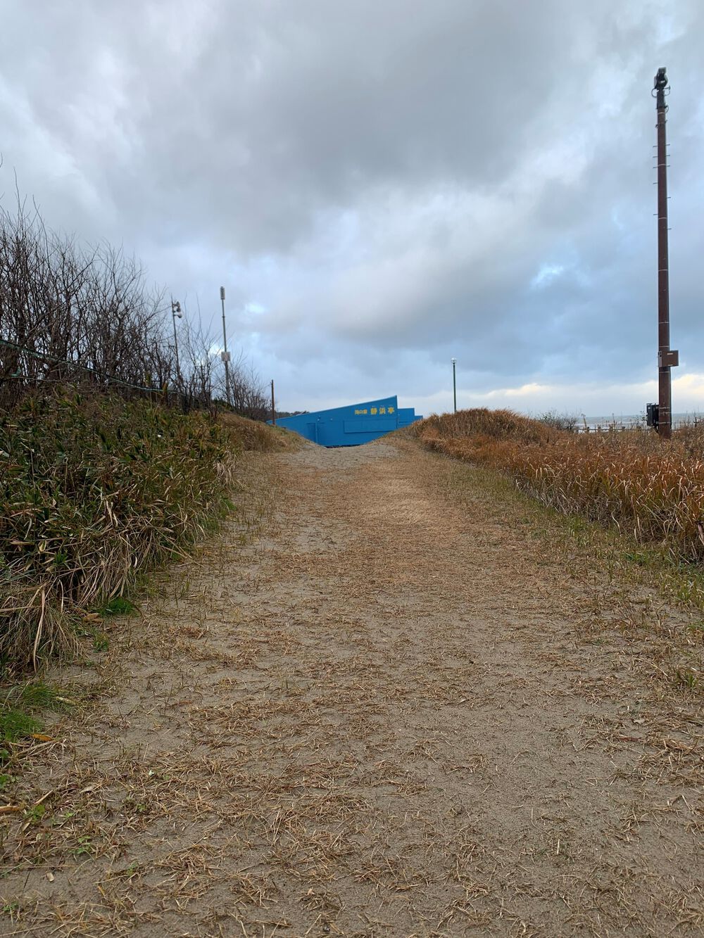 新潟島＋新潟みなとトンネル周回の写真13