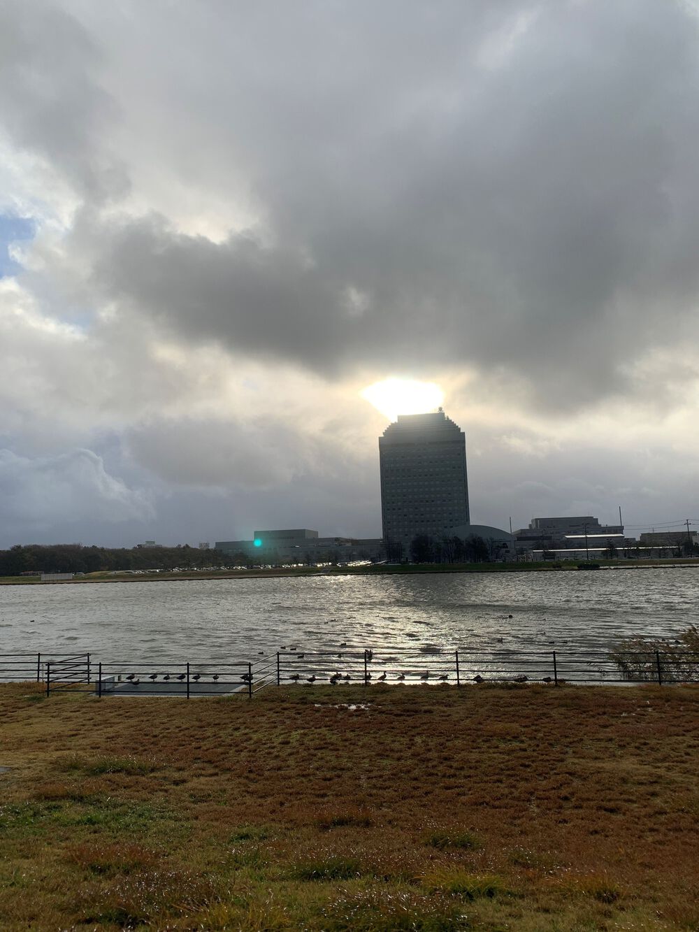 新潟島＋新潟みなとトンネル周回の写真19