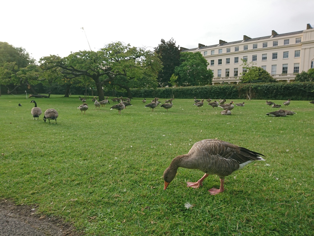 ロンドン リージェントパークの写真4