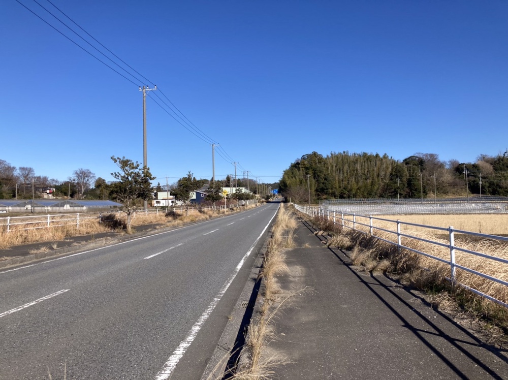 姉崎から白富士眺めつつ馬来田、丘越えで五井への写真3