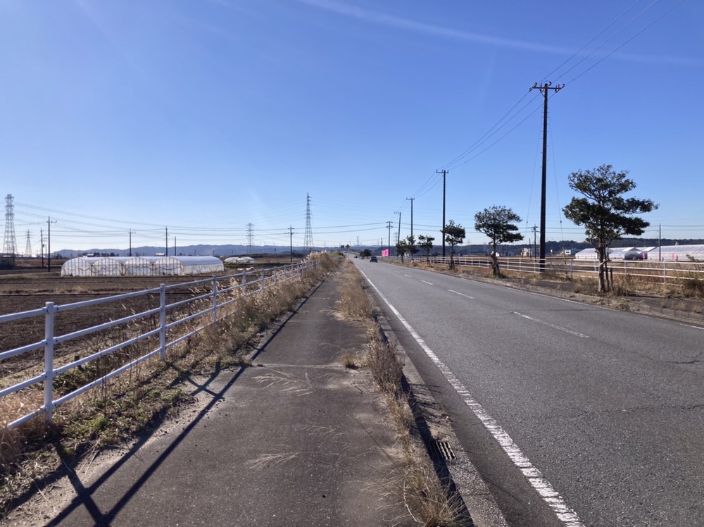 姉崎から白富士眺めつつ馬来田、丘越えで五井への写真4