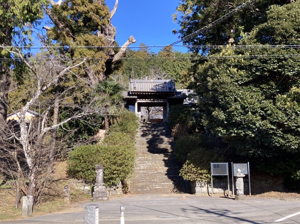 姉崎から白富士眺めつつ馬来田、丘越えで五井への写真8