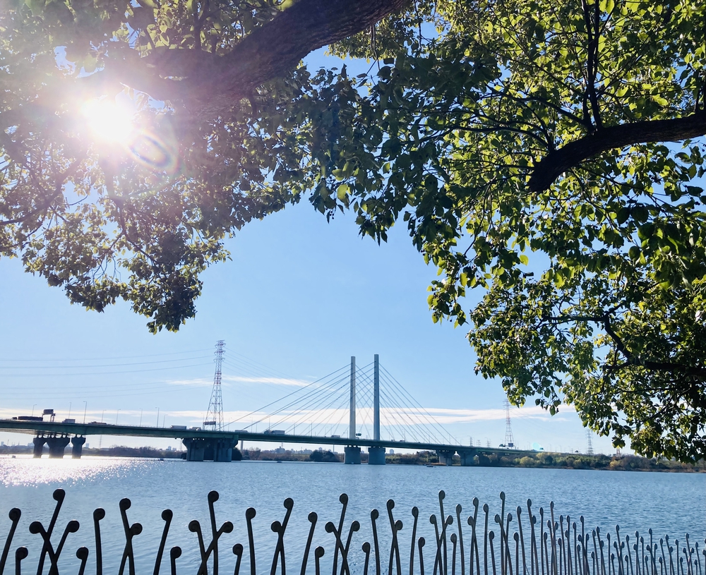 秋ヶ瀬〜野鳥観察コースの写真3