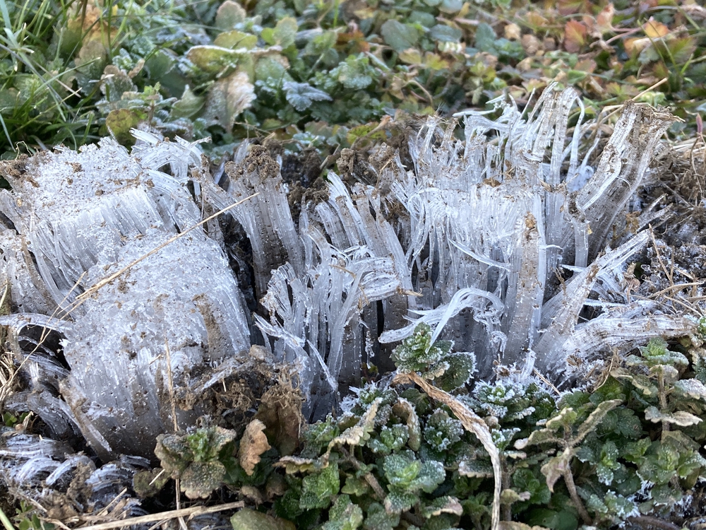 秋ヶ瀬〜野鳥観察コースの写真4