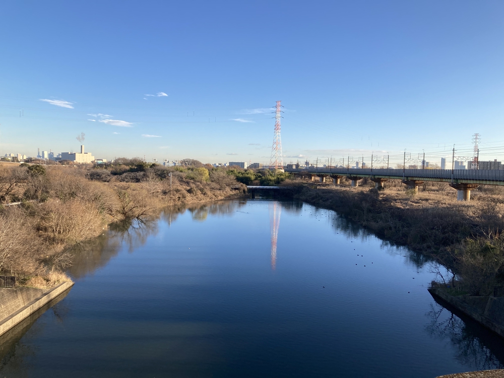 秋ヶ瀬〜野鳥観察コースの写真5
