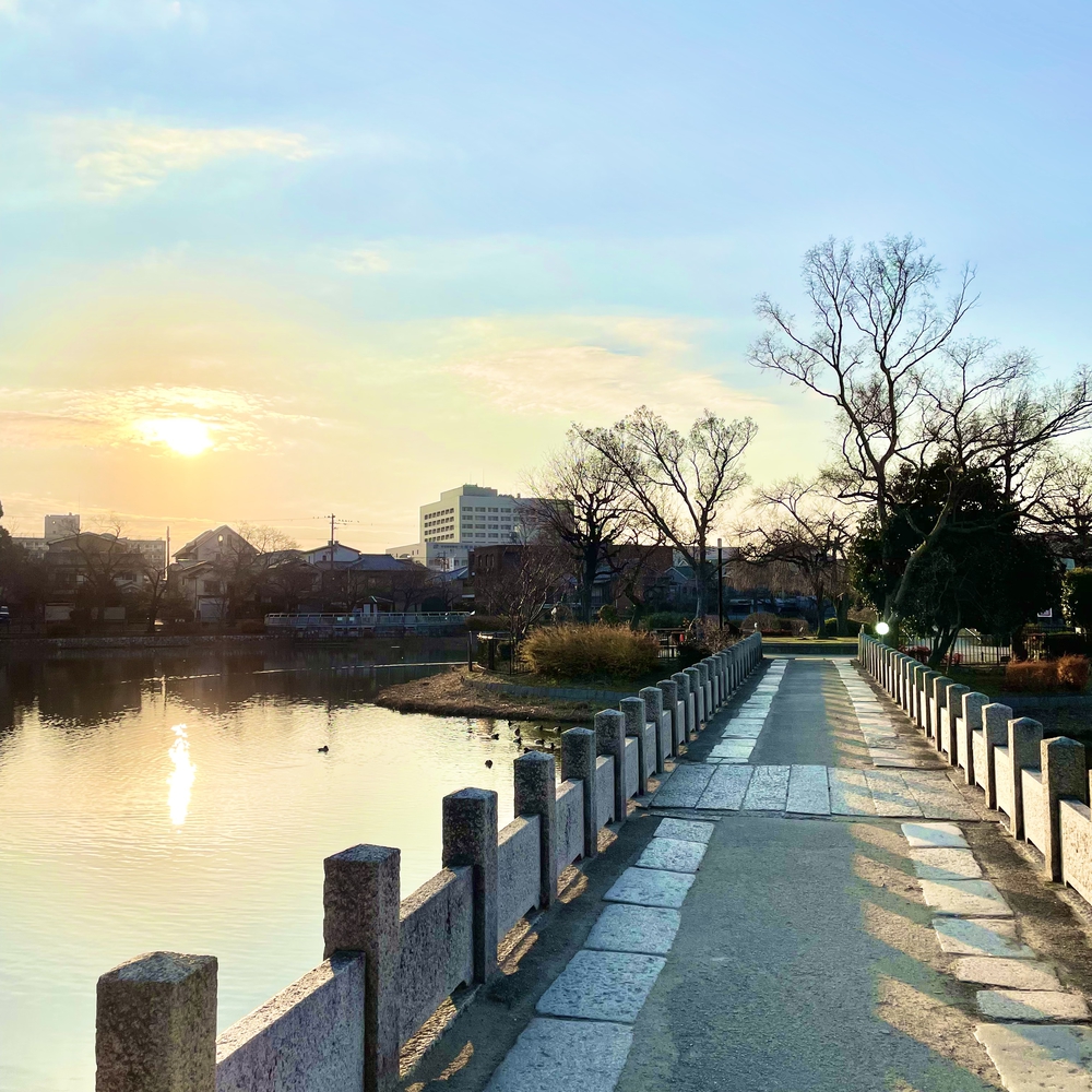 住吉大社から堀越神社6.9キロの写真3