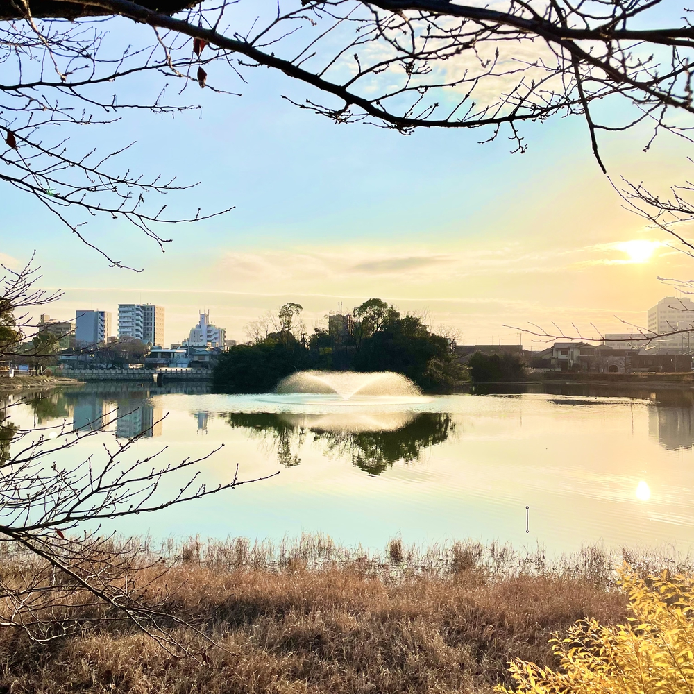 住吉大社から堀越神社6.9キロの写真4