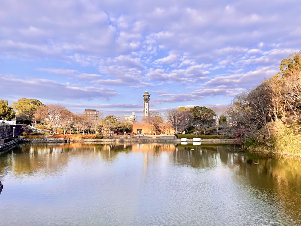 住吉大社から堀越神社6.9キロの写真8