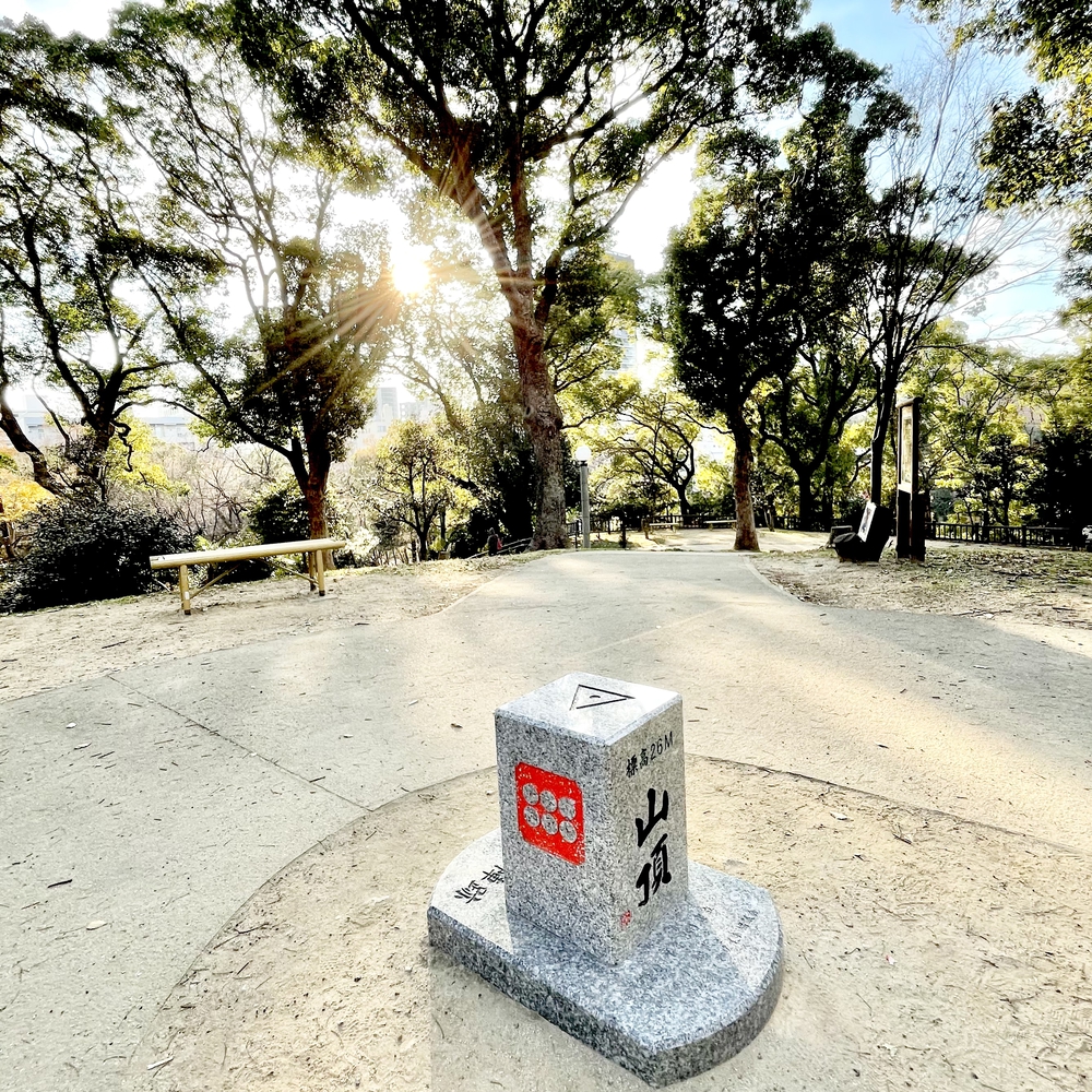 住吉大社から堀越神社6.9キロの写真9