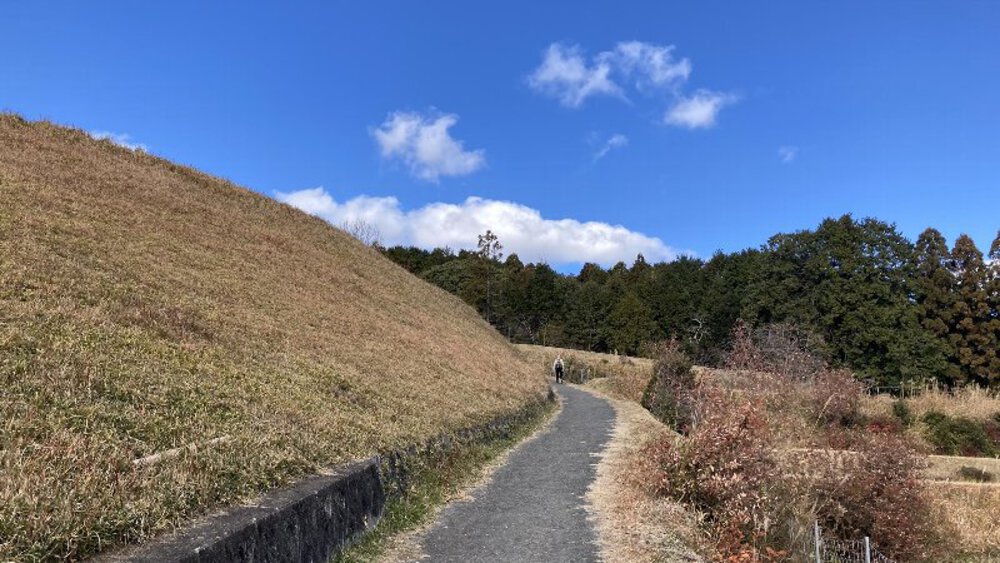 【関西低山】勝尾寺と六個山・五月山の写真5