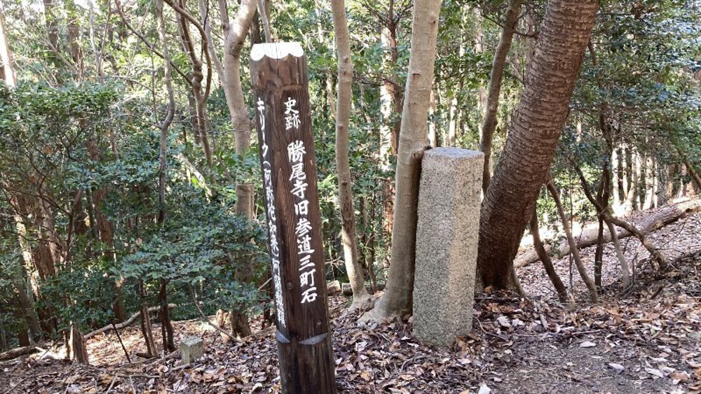 【関西低山】勝尾寺と六個山・五月山の写真6