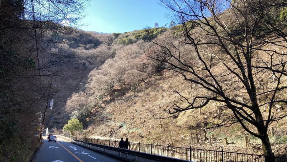 【関西低山】勝尾寺と六個山・五月山の写真10